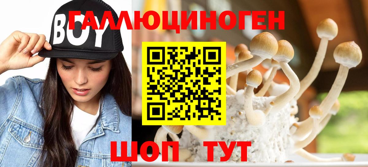 Галлюциногенные грибы GOLDEN TEACHER Печора